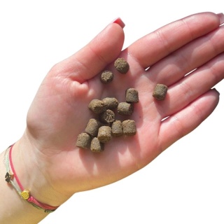 Farma karma tłoczona na zimno Jagnięcina 2kg